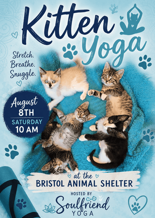Kitten Yoga Donation